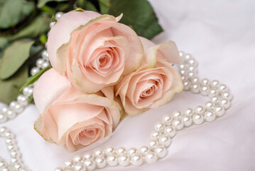 The branch of pink rose on white fabric background
