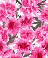 Obraz premium Wild pink beautiful peony flowers seamless pattern.
