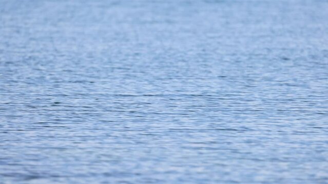 静かなさざなみの立つ海の背景素材