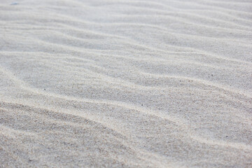 White sand texture background