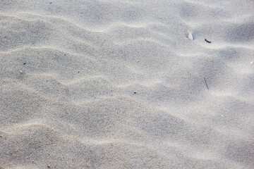White sand texture background