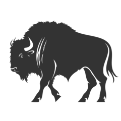 Schilderijen op glas A bison isolated on transparent background. Wild Animals. © yod67