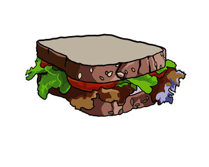 Sandwich - white background