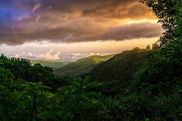Dense Tropical rainforest landscape. Mountain rain forest with sunset and low clouds. Traditional...