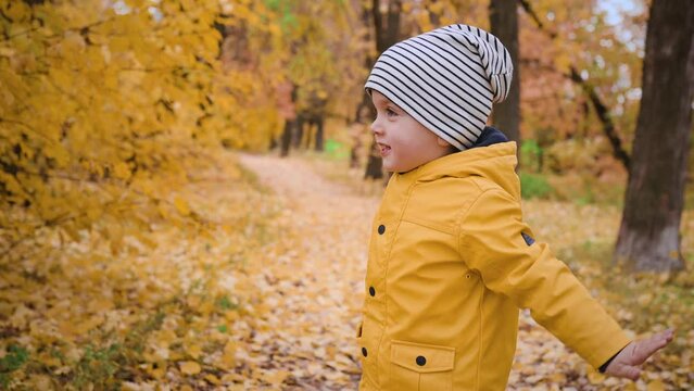  little boy in a yellow raincoat walks in the autumn park and plays with yellow leaves. Happy child runs through the forest in the fall of leaves