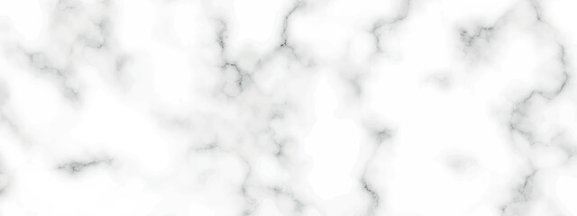marble granite white panorama background. abstract light elegant black do floor, ceramic texture stone slab. marble vector texture background with high resolution.