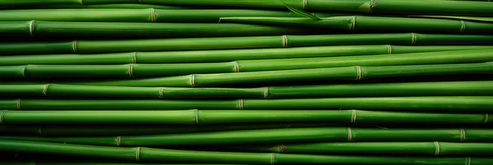 Foto op Plexiglas Horizontal green bamboo background texture © Lubos Chlubny