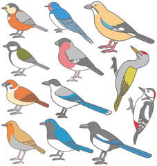 森の野鳥　イラスト素材　横向き　シジュウカラ　キツツキ