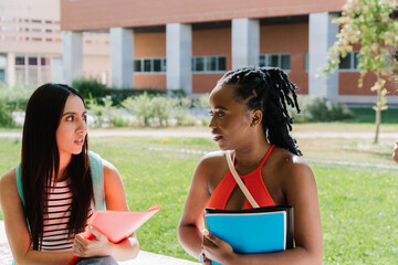 Students meeting and talking outside the university.