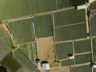 Top down view of the farm field in countryside