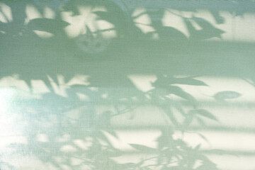 Blur shadows of the leaves fall on the light green translucent curtain V.1