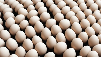 large group of eggs are shown in this image