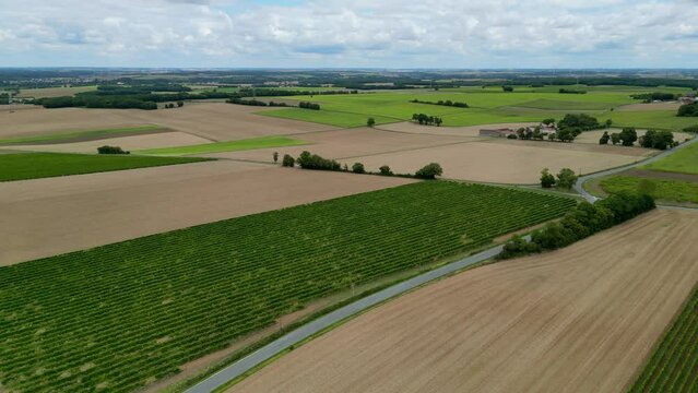 Aerial view charentes maritime, region of Cognac, vineyards of cognac near asnieres la giraud, region of the cognac appellation, High quality 4k footage