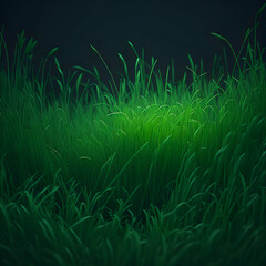 Fototapeta na wymiar green grass background 