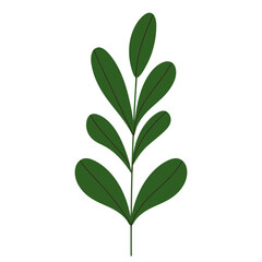 plant branch in flat style on white background vector