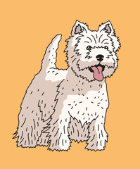 West Highland White Terrier Dog Westie Standing Front View