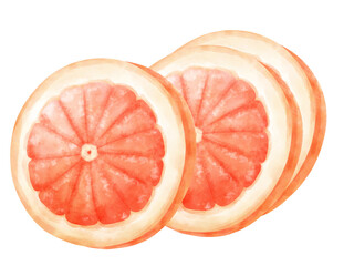 Watercolor Grapefruit 