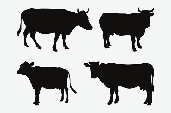 Graceful Silhouettes of Cows in Varied Poses, A Collection of Elegantly Rendered Cow Images for Diverse Creative Projects