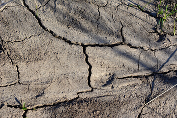 pattern of the land with cracks isolated copy space
