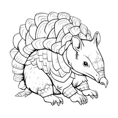 Armadillo Coloring Page For Kids 