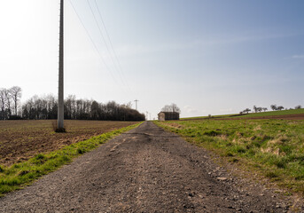 Fototapeta na wymiar Gravel road between agricultural fields on a sunny spring day