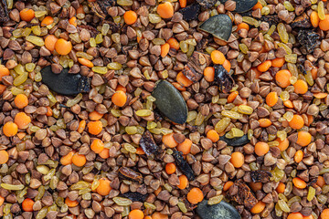 Assortment of roasted vegetable seeds and grains. Food background