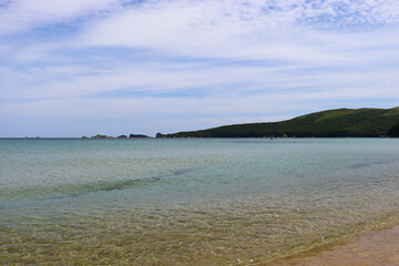 Flowers on the background of the sea. Turquoise sea. Tourism and travel.