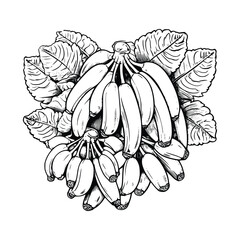 Banana Coloring Page For Kids
