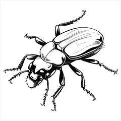 Beetle Coloring Page for Kids