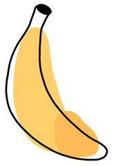 illustration of banana
