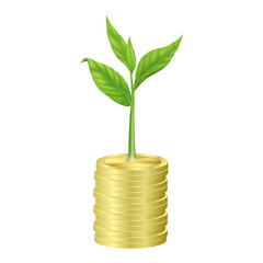 Fototapeta na wymiar Little tree growing on pile of coins money business investment. Saving concept. Realistic 3D.