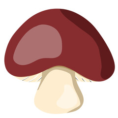 mushroom isolated on white