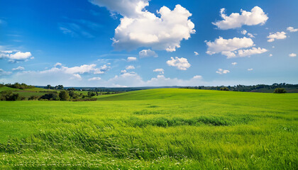 A picturesque summer landscape featuring a lush green grass field stretching under a blue sky with...