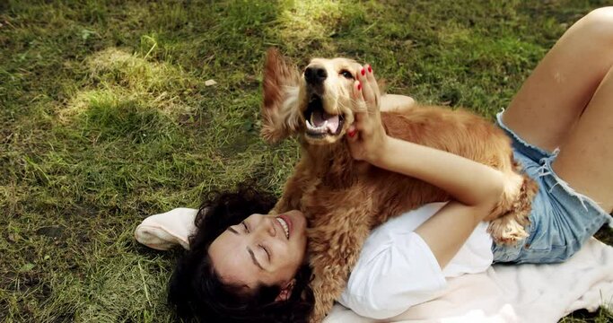Woman playing with her dog. hugs, kiss and pose nicely. Happy woman hugs and have fun with cocker spaniel dog. Human animal friendship. English cocker spaniel rests outdoors. young pretty animal.