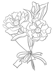 outline line illustration design element stylish graphic botany bouquet floristry garden flower peony bloom closeup with leaves for label postcard print sticker or coloring book