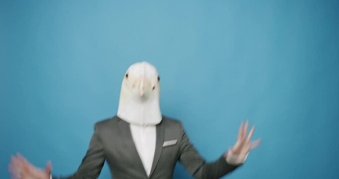 Man with pigeon mask making funny gestures. Man with Pigeon Mask. Fun and happiness concept, Man having fun on isolated Blue Background. Having Fun, April 1, Fool's Day. Masquarade idea.