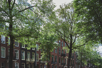 Fototapeta premium Green cityscape with trees of Amsterdam.