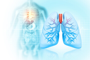 Lung anatomy, function and diagrams. 3d illustration