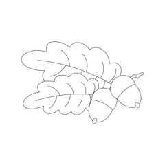 Acorn. Hello autumn. Autumn season element, icon. Line art.