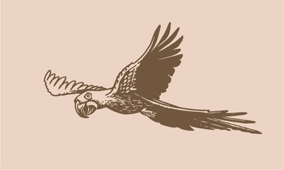 Graphical parrot  on sepia background,vector element of bird.Vintage illustration