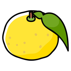 太い線で描かれたカットイラスト / 1個の柚子