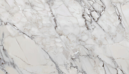 White grey marble floor texture background with high resolution, counter top view of natural tiles stone in seamless glitter pattern and luxurious vector illustration .
