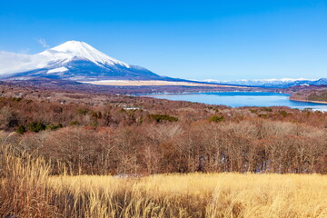 冬の富士山・遠方に南アルプス連峰が見えます　山梨県山中湖村パノラマ台にて