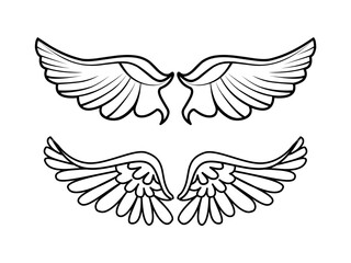 Obraz premium wing feathers,two wings vector illustration,a pair of wings decor,isolated on a white background