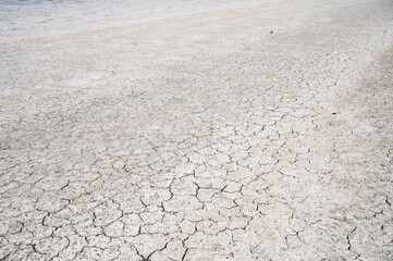 Obraz premium cracked and dry land of a lagoon Laguna Larga de Villacañas in Spain, dried due to the drought.