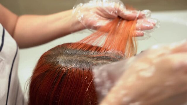 The hairdresser is coloring the client's hair. Lightening of hair roots