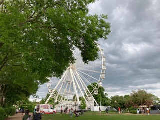 ferris wheel in the park