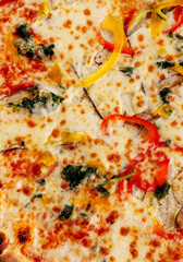 italian vegetarian pizza on closeup background