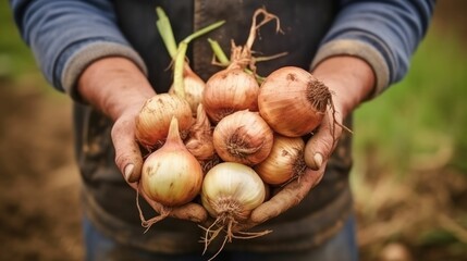 Close up of farmer male hands holding onions in the cob. Organic food, harvesting, farming and autumn concept. Generative AI