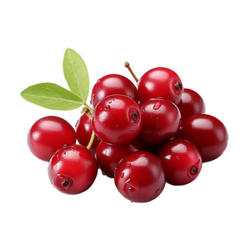 red currant png. cranberries Vaccinium oxycoccus fruits, top view isolated png. cranberries png. food. fruit. organic. fresh. eco